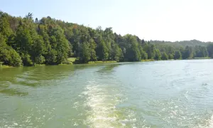 Jezioro Głęboczek Kujawsko-Pomorskie – atrakcje, lokalizacja i ciekawostki przyrodnicze