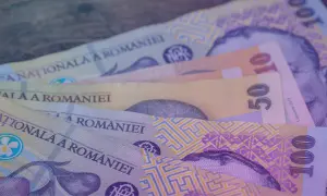 Kilka banknotów rumuńskiej waluty lei leży na drewnianym blacie. Widać nominały 10, 50 i 100.