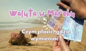 Jaka walutę zabrać do Maroka? Na plaży z wielbłądem w tle, ręka trzyma dirhamy.