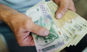 Rs jaka to waluta - poznaj wartość dinara serbskiego i jego kursy
