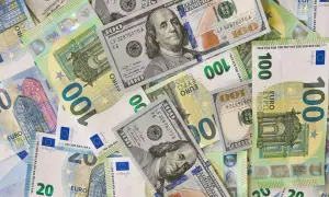 Kn jaka to waluta - dlaczego warto znać historię kuny i euro