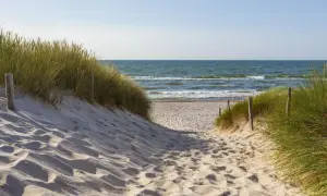 Ścieżka przez wydmy nad morzem, gdzie powietrze jest najbogatsze w jod.