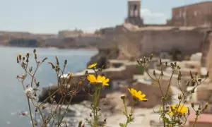 Malta czy bezpiecznie? Oto co musisz wiedzieć przed podróżą