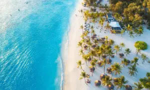 Rajska plaża z palmami i turkusową wodą. Idealne miejsce, by odpocząć. Kiedy najlepiej lecieć na Zanzibar? W porze suchej, od czerwca do października.