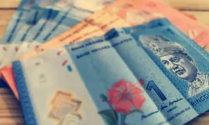 Malezyjskie banknoty, w tym ringgit, z portretem króla i kwiatem hibiskusa.