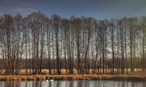Wieliszew atrakcje - odkryj nieznane miejsca i wyjątkowe wrażenia