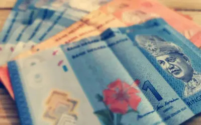 Malezyjskie banknoty, w tym ringgit, z portretem króla i kwiatem hibiskusa.
