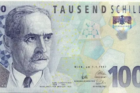 Jaka waluta była w Austrii przed euro? Poznaj historię szylinga