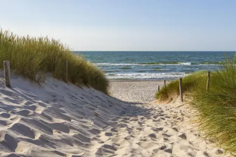 Ścieżka przez wydmy nad morzem, gdzie powietrze jest najbogatsze w jod.