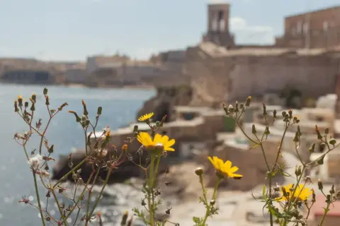 Malta czy bezpiecznie? Oto co musisz wiedzieć przed podróżą