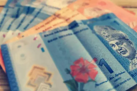 Malezyjskie banknoty, w tym ringgit, z portretem króla i kwiatem hibiskusa.