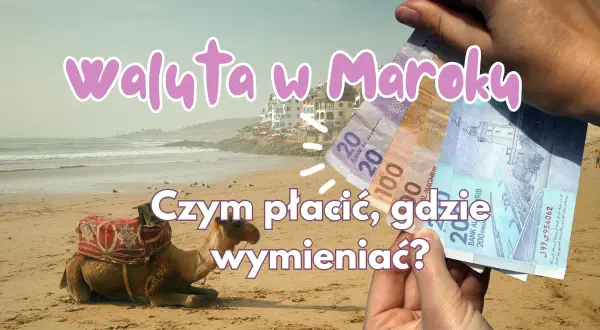 Jaka walutę zabrać do Maroka? Na plaży z wielbłądem w tle, ręka trzyma dirhamy.