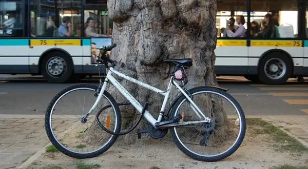 Czy można przewieźć rower autobusem PKS? Zasady i wskazówki podróży