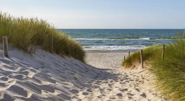 Ścieżka przez wydmy nad morzem, gdzie powietrze jest najbogatsze w jod.
