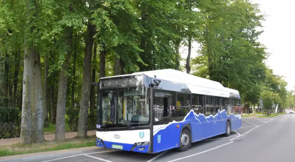 Jak dojechać busem do Term Chochołowskich? Trasy i rozkłady jazdy