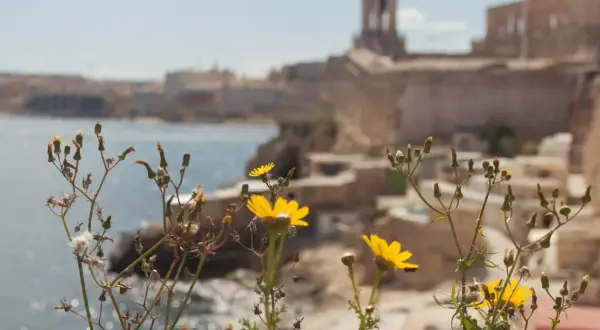 Malta czy bezpiecznie? Oto co musisz wiedzieć przed podróżą