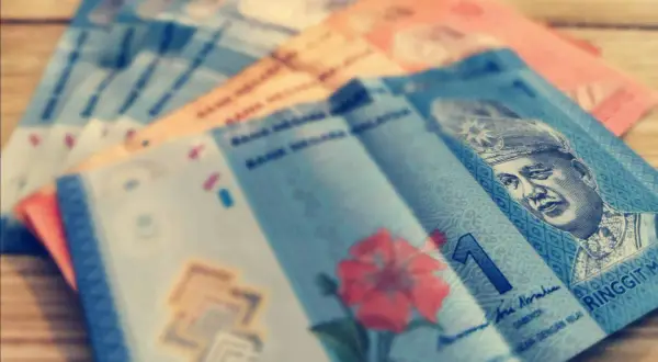 Malezyjskie banknoty, w tym ringgit, z portretem króla i kwiatem hibiskusa.