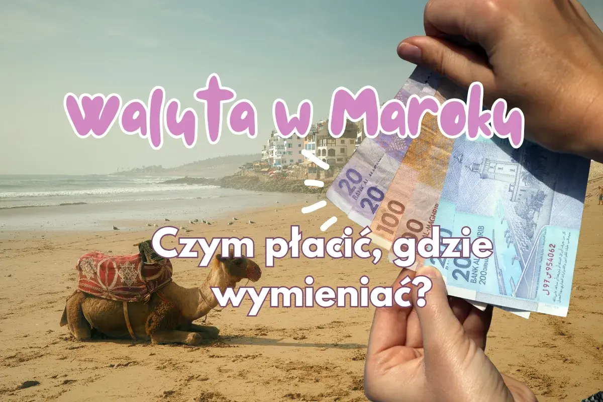Jaka walutę zabrać do Maroka? Na plaży z wielbłądem w tle, ręka trzyma dirhamy.