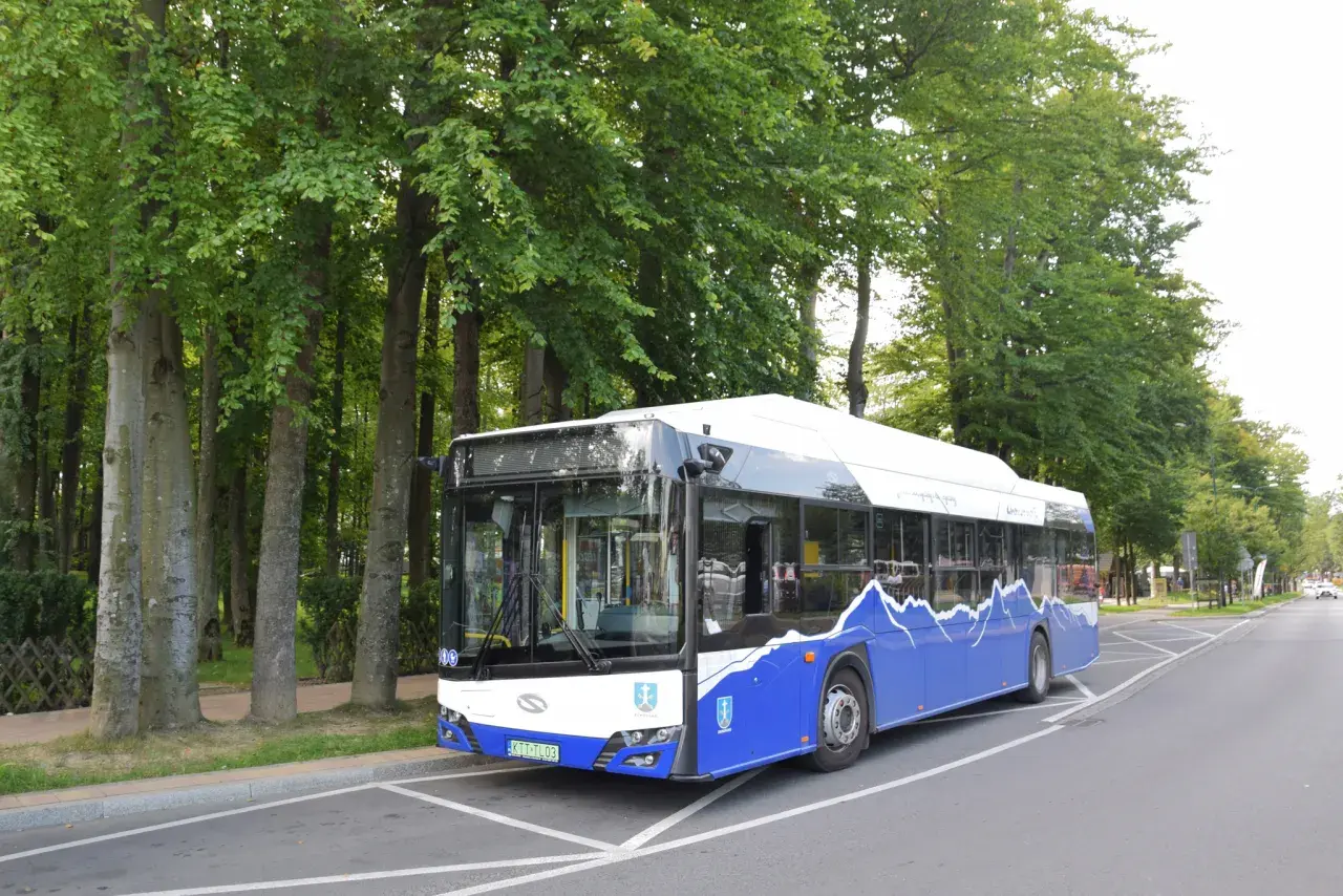 Jak dojechać busem do Term Chochołowskich? Trasy i rozkłady jazdy