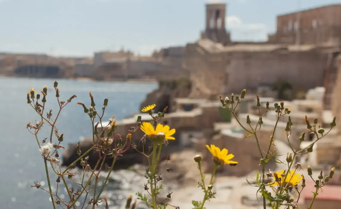 Malta czy bezpiecznie? Oto co musisz wiedzieć przed podróżą