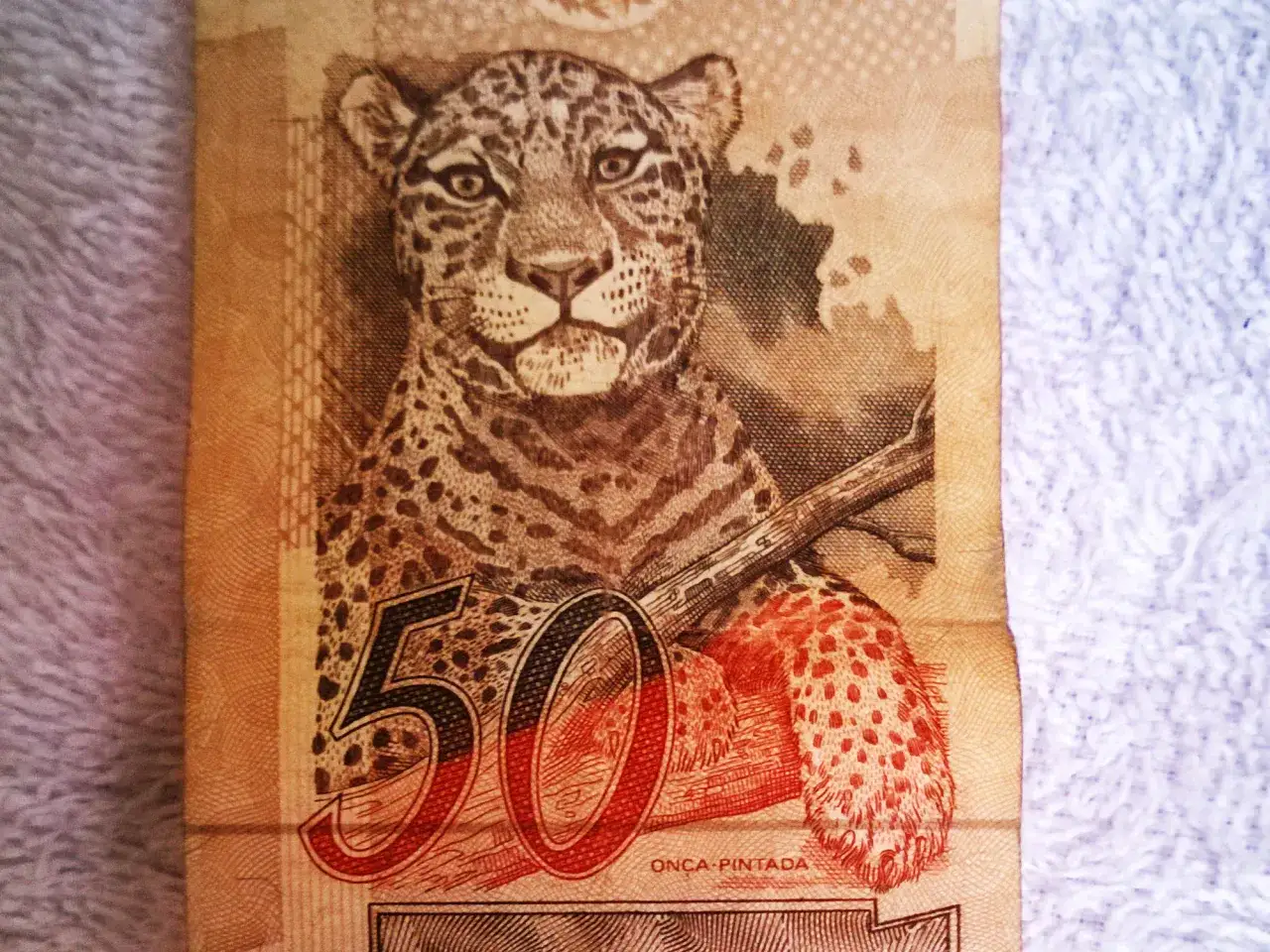 Brazylijska banknot 50 realów z jaguarem. Zastanawiasz się, jaką walutę zabrać do Brazylii? Real to odpowiedź!