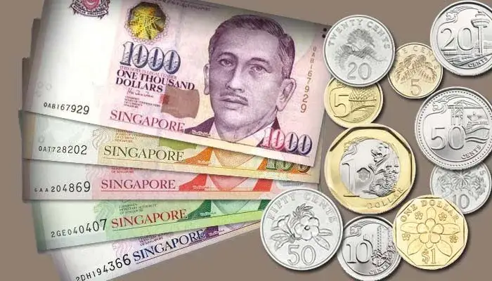 Zdjęcie Jaka waluta w Singapurze? Poznaj dolar singapurski i jego wartość