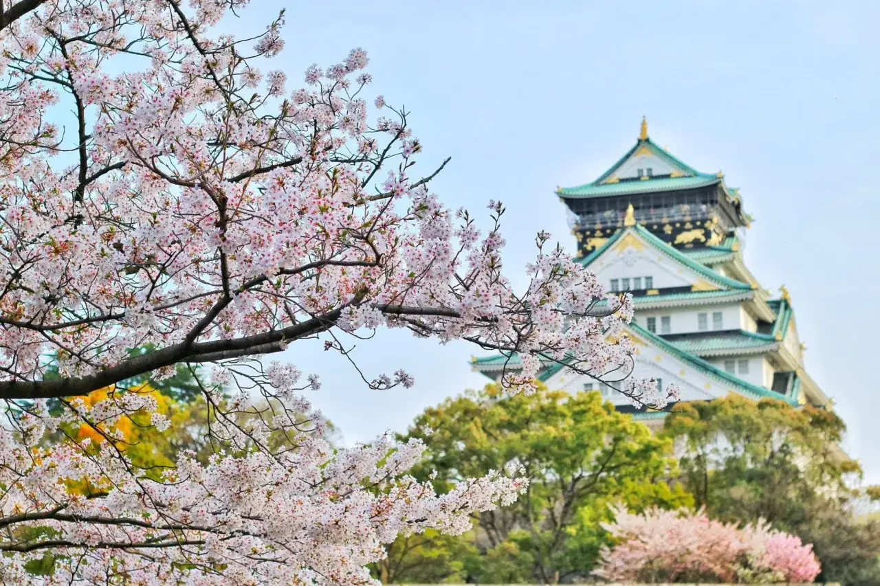 Zdjęcie Kiedy najlepiej jechać do Japonii, aby uniknąć tłumów i cieszyć się pięknem?