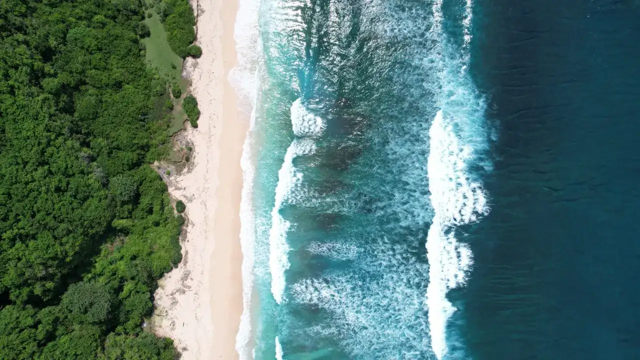Zielona dżungla styka się z piaszczystą plażą, a turkusowe fale rozbijają się o brzeg. Idealne miejsce, kiedy jest sezon na Bali.
