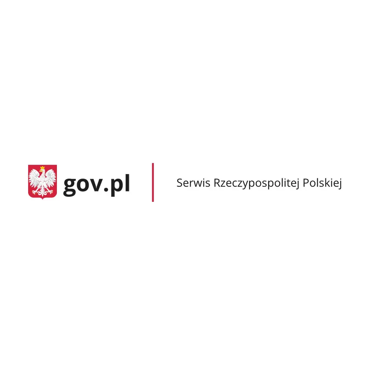 Zdjęcie Jak przewieźć kota z Grecji bez stresu i problemów w podróży