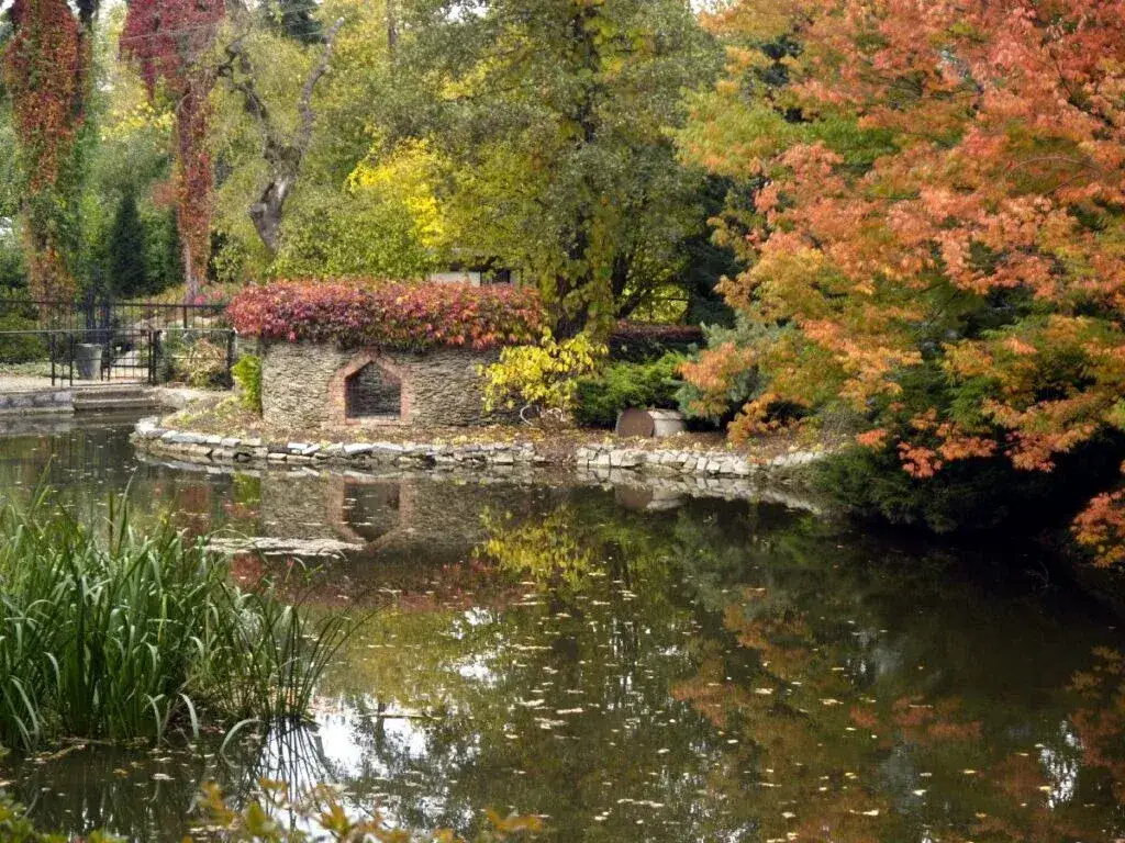 Zdjęcie Najlepszy czas na wizytę w arboretum Wojsławice, aby uniknąć tłumów
