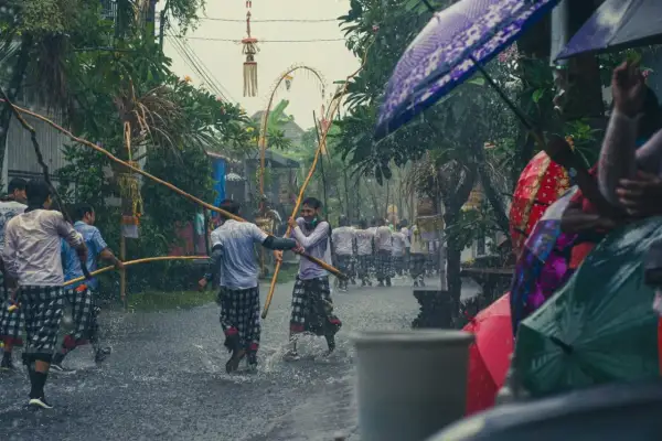 Deszczowa procesja na Bali, kiedy jest sezon na bali. Mężczyźni w tradycyjnych strojach niosą drewniane tyczki, a widzowie chronią się pod kolorowymi parasolami.