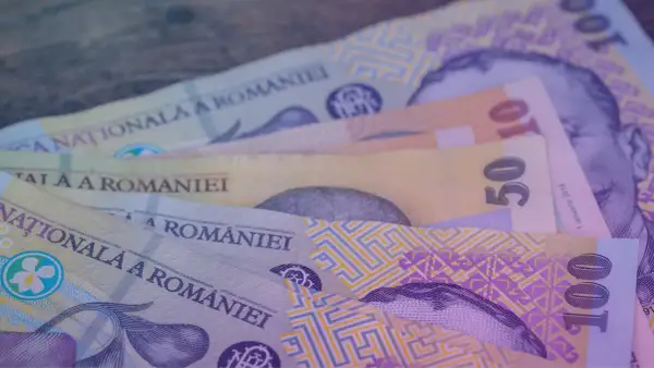 Kilka banknotów rumuńskiej waluty lei leży na drewnianym blacie. Widać nominały 10, 50 i 100.
