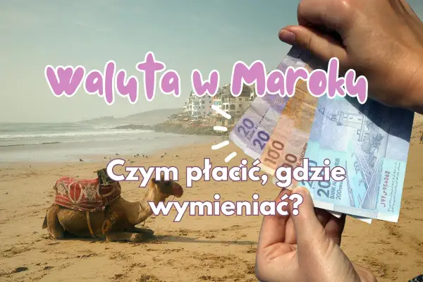 Jaka walutę zabrać do Maroka? Na plaży z wielbłądem w tle, ręka trzyma dirhamy.