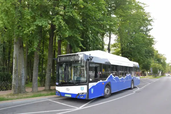 Jak dojechać busem do Term Chochołowskich? Trasy i rozkłady jazdy
