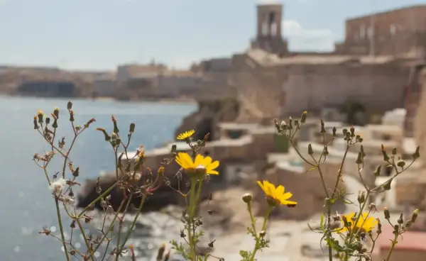 Malta czy bezpiecznie? Oto co musisz wiedzieć przed podróżą
