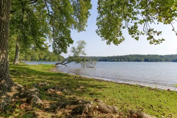 Działka nad jeziorem w Podlaskiem – jak wybrać idealną i uniknąć błędów?